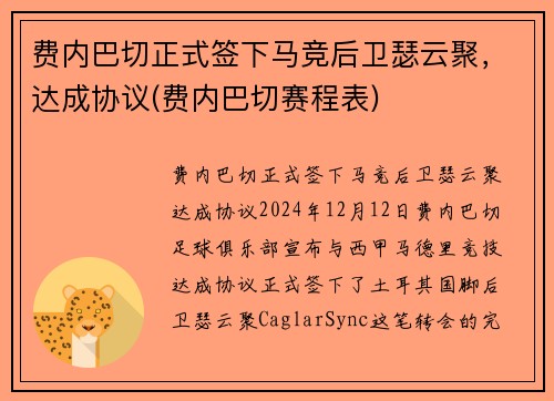 费内巴切正式签下马竞后卫瑟云聚，达成协议(费内巴切赛程表)